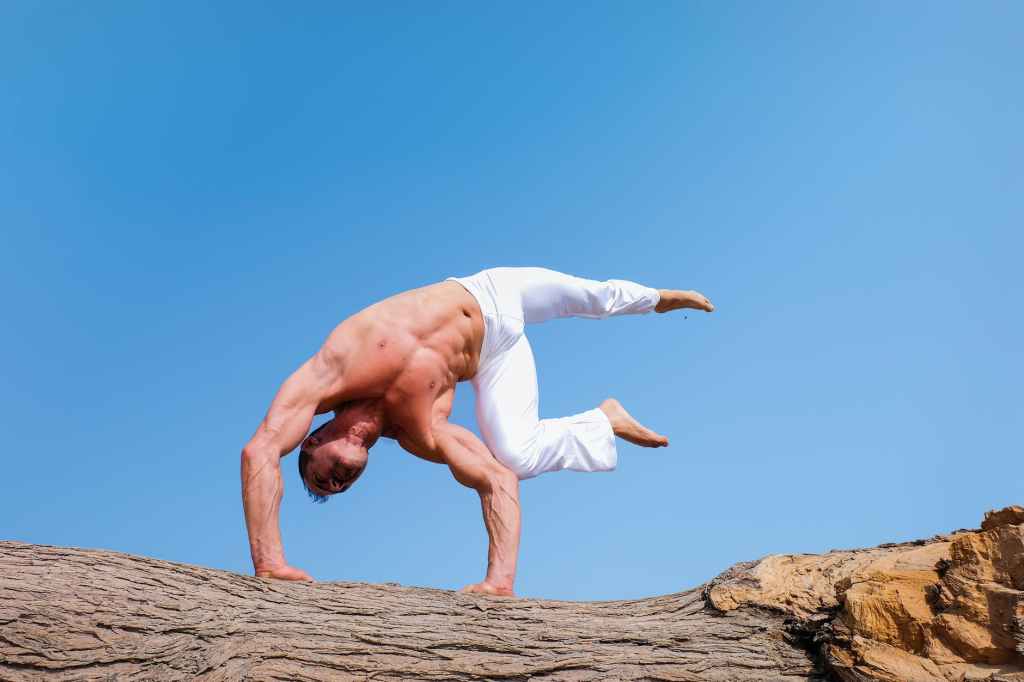 Resilience and Brazilian Jiu-Jitsu: